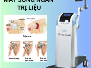 44. Máy thấu nhiệt sóng ngắn BTL - 6000 SHORTWAVE 200